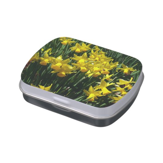 Yellow Daffodils I Cheery Spring Flowers Candy Tin (Side)