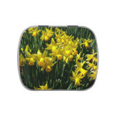 Yellow Daffodils I Cheery Spring Flowers Candy Tin (Top)