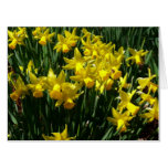 Yellow Daffodils I Cheery Spring Flowers Card