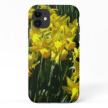 Yellow Daffodils I Cheery Spring Flowers iPhone 11 Case