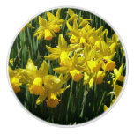 Yellow Daffodils I Cheery Spring Flowers Ceramic Knob