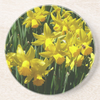 Yellow Daffodils I Cheery Spring Flowers Drink Coaster
