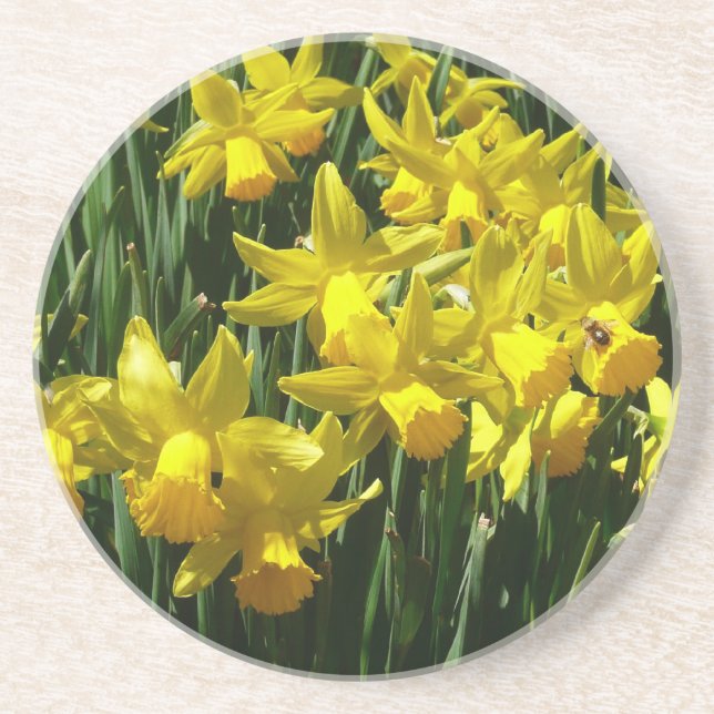 Yellow Daffodils I Cheery Spring Flowers Drink Coaster (Front)