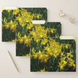 Yellow Daffodils I Cheery Spring Flowers File Folder