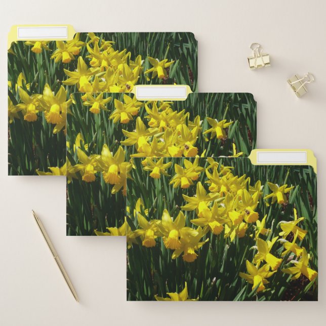 Yellow Daffodils I Cheery Spring Flowers File Folder (Set)