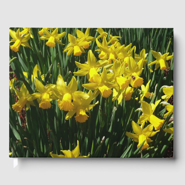 Yellow Daffodils I Cheery Spring Flowers Guest Book (Front)