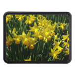 Yellow Daffodils I Cheery Spring Flowers Hitch Cover