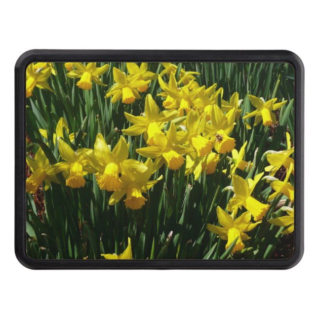Yellow Daffodils I Cheery Spring Flowers Hitch Cover (Front)