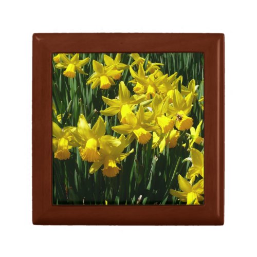 Yellow Daffodils I Cheery Spring Flowers Jewelry Box