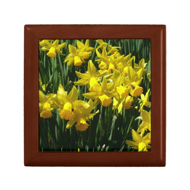 Yellow Daffodils I Cheery Spring Flowers Jewelry Box (Front)