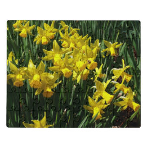 Yellow Daffodils I Cheery Spring Flowers Jigsaw Puzzle