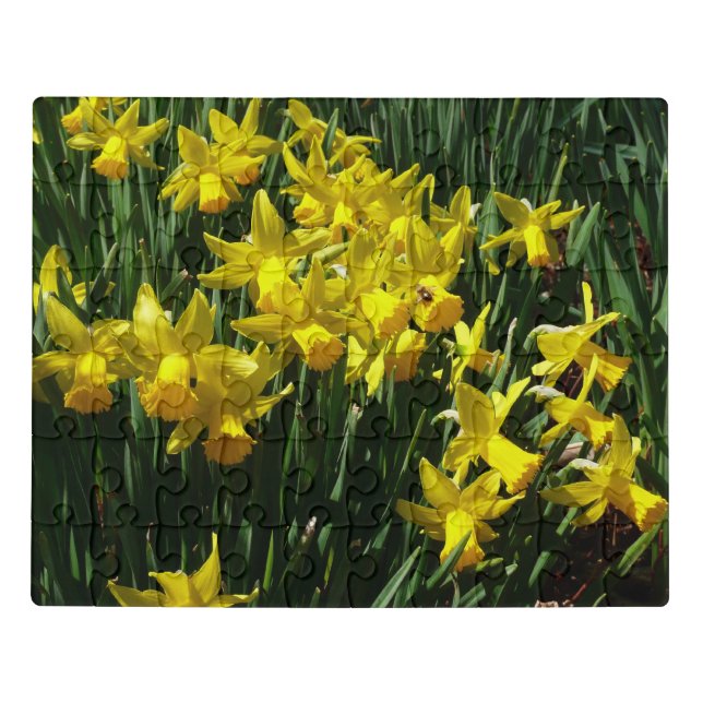 Yellow Daffodils I Cheery Spring Flowers Jigsaw Puzzle (Puzzle Horizontal)