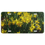 Yellow Daffodils I Cheery Spring Flowers License Plate
