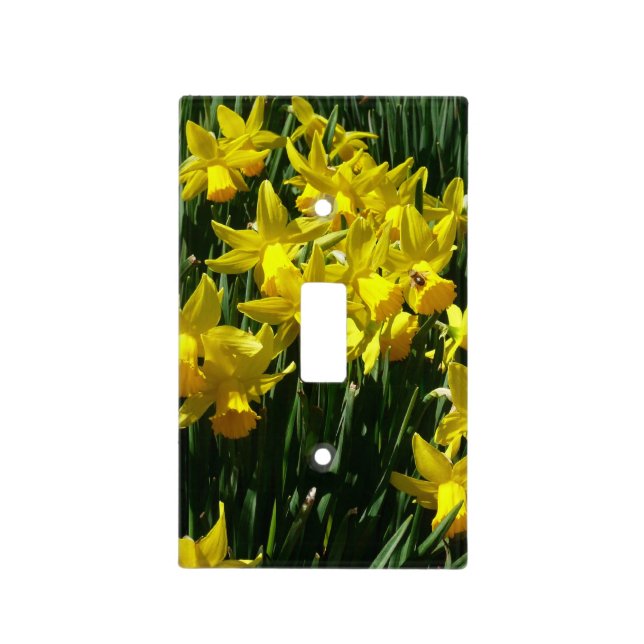 Yellow Daffodils I Cheery Spring Flowers Light Switch Cover (Front)