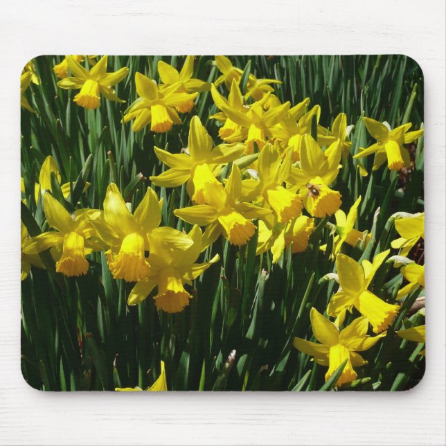 Yellow Daffodils I Cheery Spring Flowers Mouse Pad (Front)