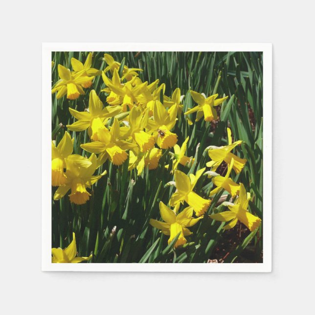 Yellow Daffodils I Cheery Spring Flowers Napkins (Front)
