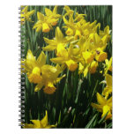 Yellow Daffodils I Cheery Spring Flowers Notebook