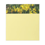 Yellow Daffodils I Cheery Spring Flowers Notepad