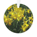 Yellow Daffodils I Cheery Spring Flowers Ornament