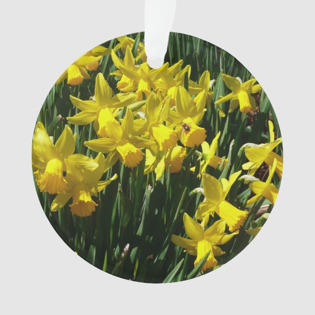Yellow Daffodils I Cheery Spring Flowers Ornament (Front)