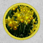 Yellow Daffodils I Cheery Spring Flowers Patch