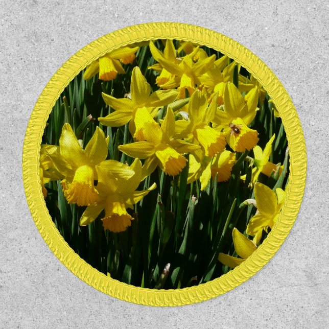 Yellow Daffodils I Cheery Spring Flowers Patch (Front)