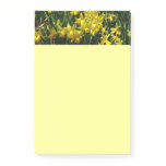 Yellow Daffodils I Cheery Spring Flowers Post-it Notes