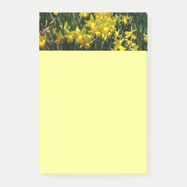 Yellow Daffodils I Cheery Spring Flowers Post-it Notes (Front)