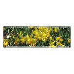 Yellow Daffodils I Cheery Spring Flowers Ruler