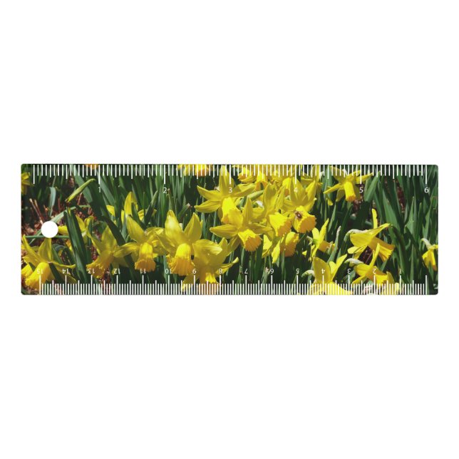 Yellow Daffodils I Cheery Spring Flowers Ruler (Front)
