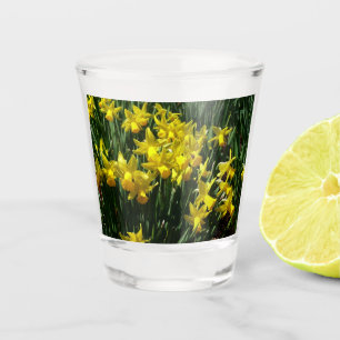 Yellow Daffodils I Cheery Spring Flowers Shot Glass