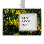 Yellow Daffodils I Cheery Spring Flowers Silver Plated Framed Ornament