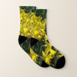 Yellow Daffodils I Cheery Spring Flowers Socks