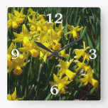 Yellow Daffodils I Cheery Spring Flowers Square Wall Clock
