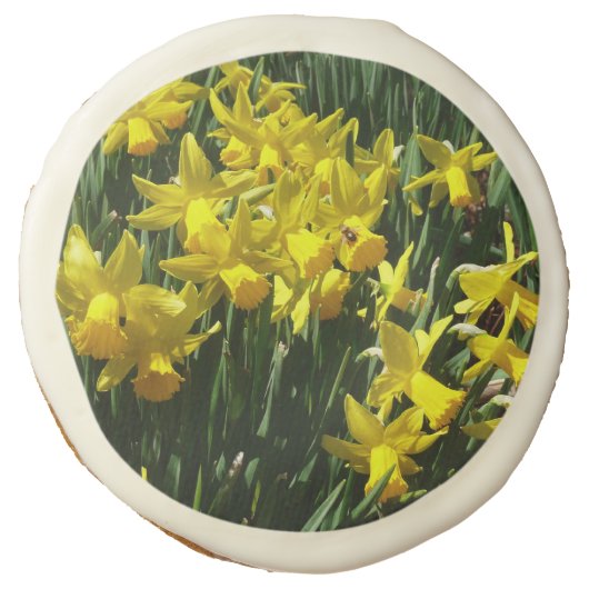 Yellow Daffodils I Cheery Spring Flowers Sugar Cookie (Front)