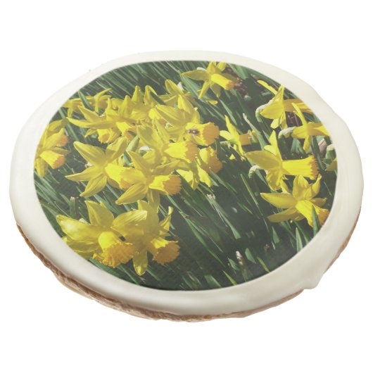 Yellow Daffodils I Cheery Spring Flowers Sugar Cookie (Angled)