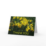 Yellow Daffodils I Cheery Spring Flowers Thank You Card