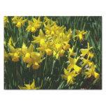 Yellow Daffodils I Cheery Spring Flowers Tissue Paper