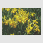 Yellow Daffodils I Cheery Spring Flowers Tissue Paper