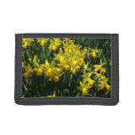 Yellow Daffodils I Cheery Spring Flowers Trifold Wallet