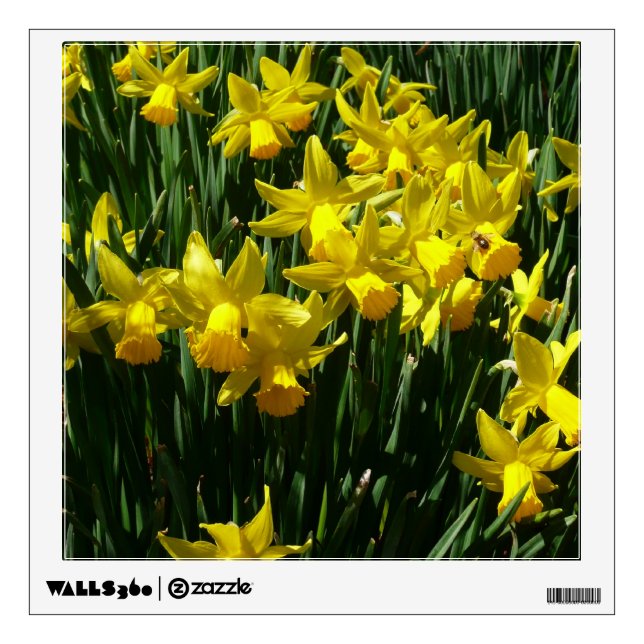 Yellow Daffodils I Cheery Spring Flowers Wall Sticker (Front)