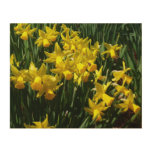 Yellow Daffodils I Cheery Spring Flowers Wood Wall Art
