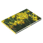 Yellow Daffodils I Guest Book