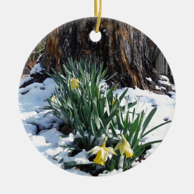 Yellow Daffodils in the snow Ceramic Ornament (Front)