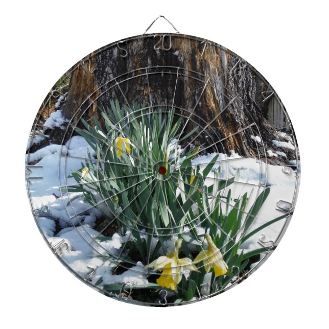 Yellow Daffodils in the snow Dartboard With Darts (Front)