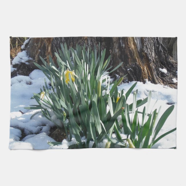 Yellow Daffodils in the snow Kitchen Towel (Horizontal)