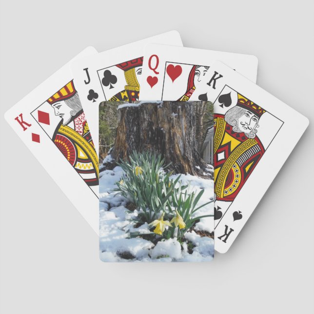 Yellow Daffodils in the snow Poker Cards (Back)