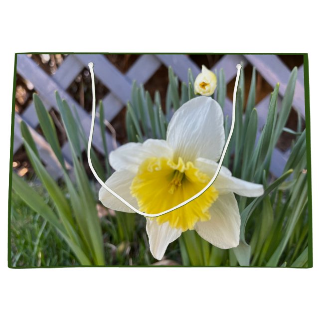 Yellow Daffodils Large Gift Bag (Front)