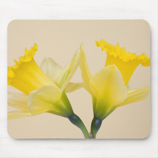 Yellow daffodils mouse pad (Front)
