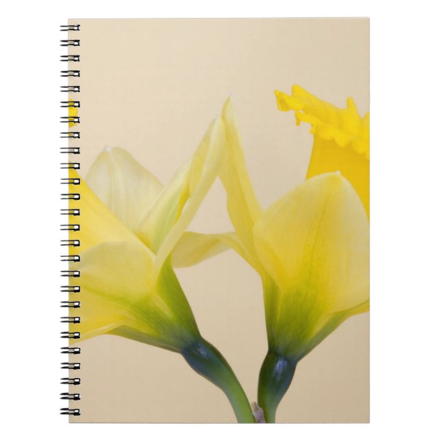 Yellow daffodils notebook (Front)